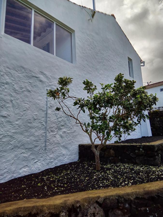 Casa Do Marcelino Lagarto Hébergement de vacances São Roque do Pico