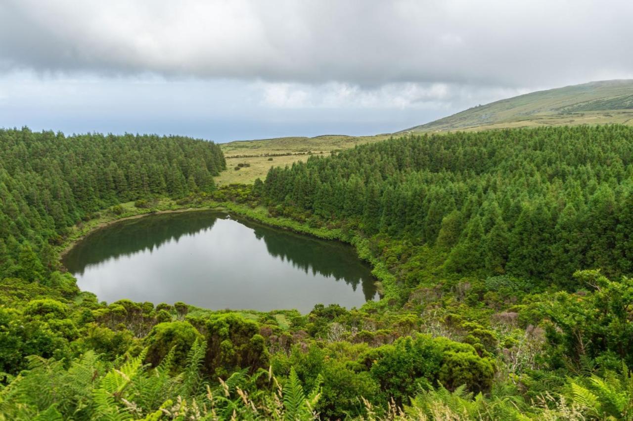 Hébergement de vacances Casa Do Marcelino Lagarto São Roque do Pico