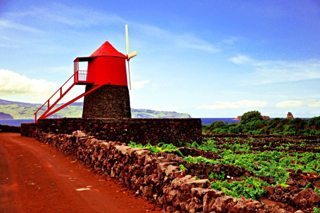 Hébergement de vacances Casa Do Marcelino Lagarto São Roque do Pico